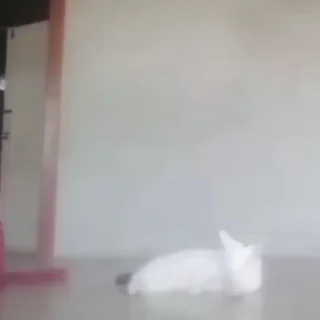 😯
