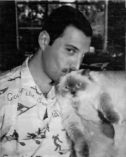 🐱
