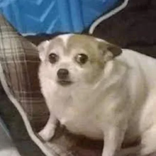 🫥