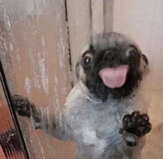 😛