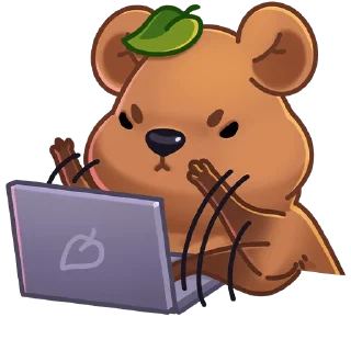 👨‍💻