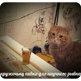🍺