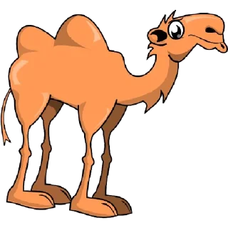 🐫