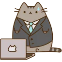 🐱