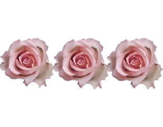 🌹