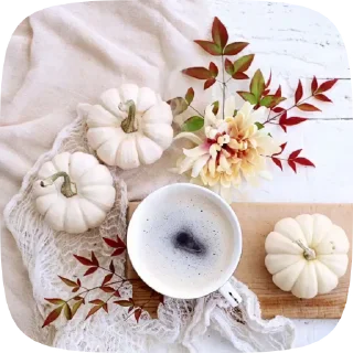 🍁