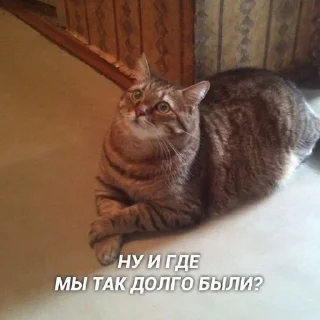 🙂