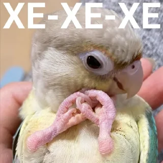 😏