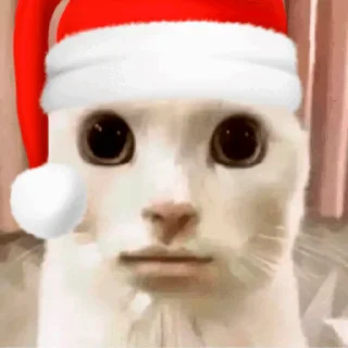 🧑‍🎄