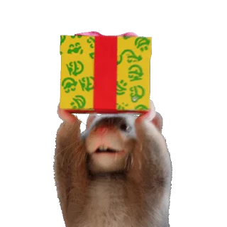 🎁