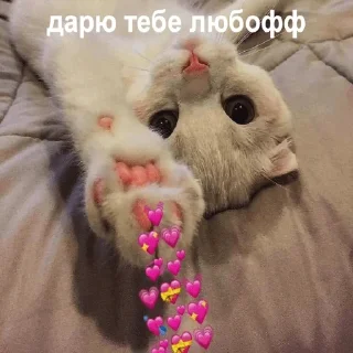 😘