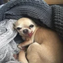 😛