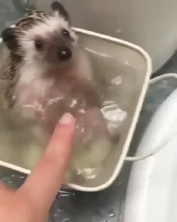☺