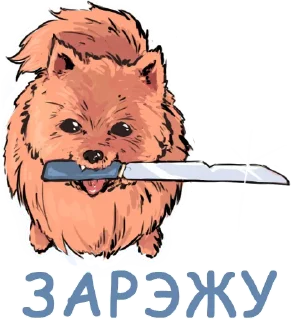 🐶