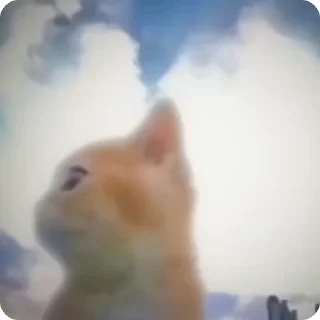 💥
