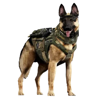 🐕