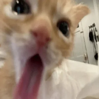 😱