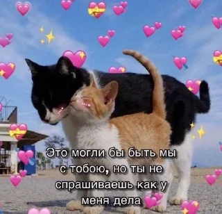 💞