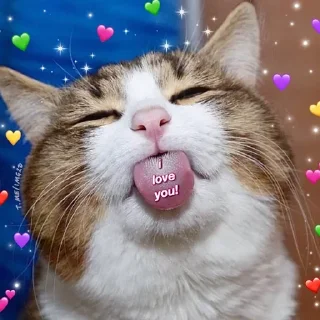 🥰