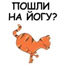 🐱