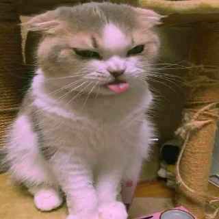 😝