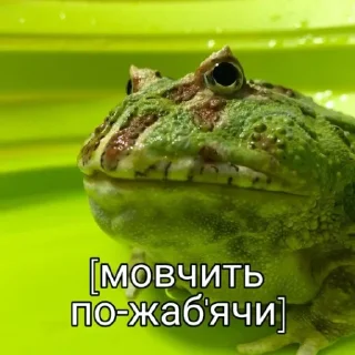 😑