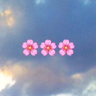 🌸