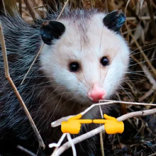 🥺
