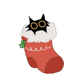 🧦