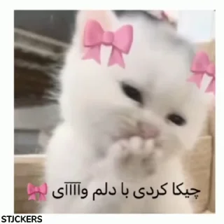 🎀