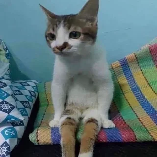 😔