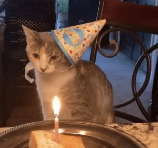 🥳