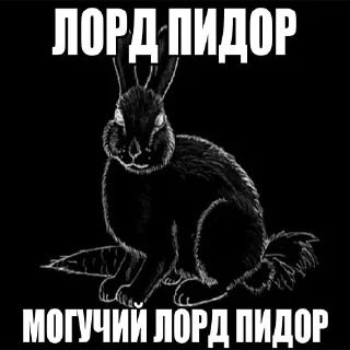 🐰