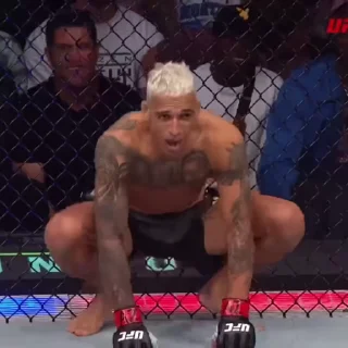 🤩