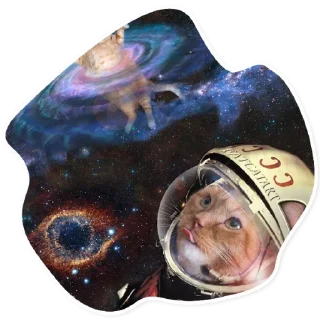 🚀