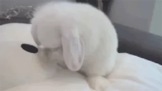 😞