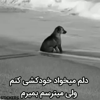 😞