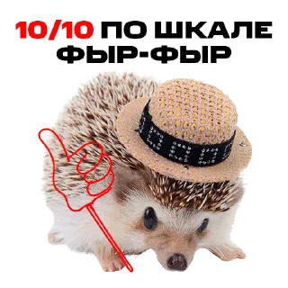 👍