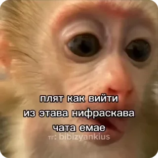 🧐