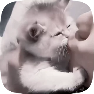 😘