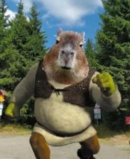 💪
