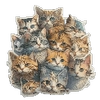 Рабочие коты