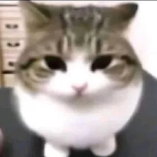 😳