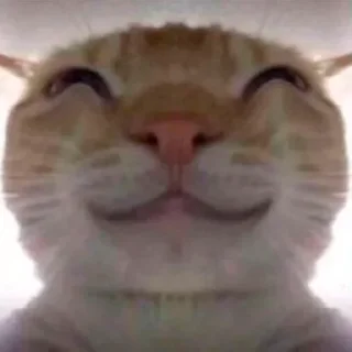 😊