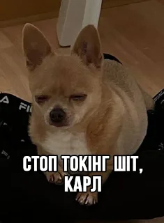⛔️