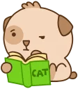 📚