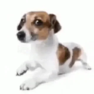 😐