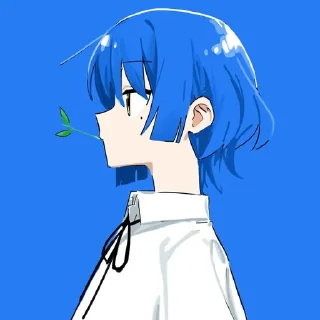🔹