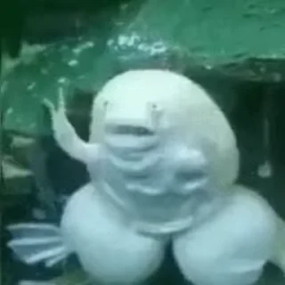 🐸