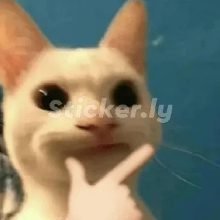 🤨